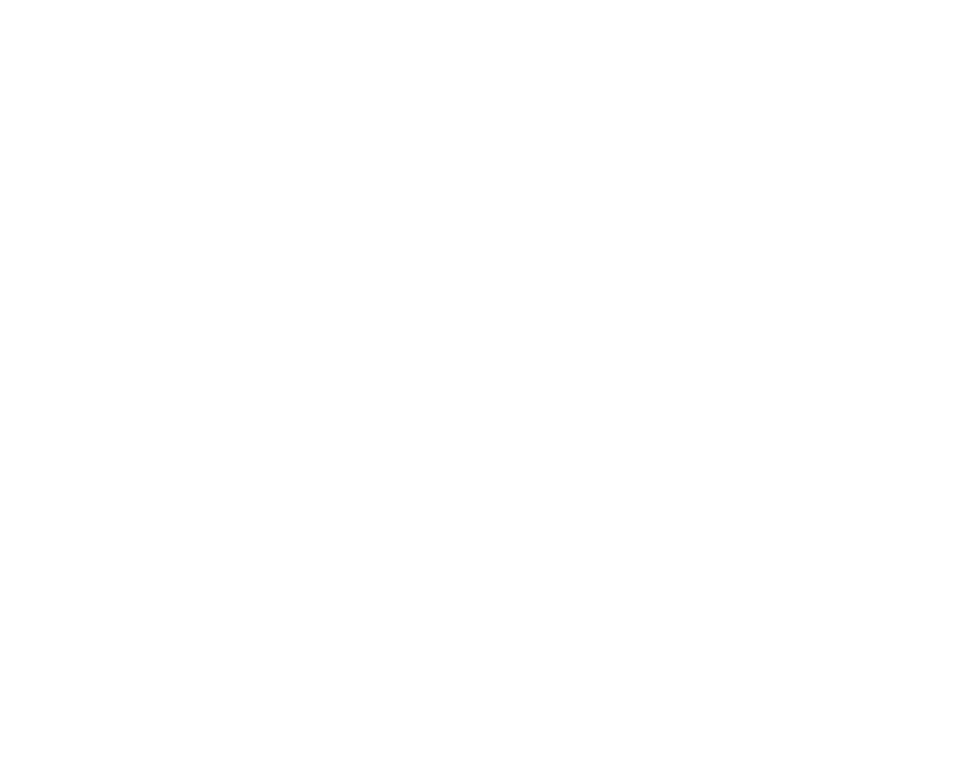 logo veliki bijeli
